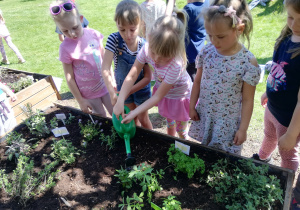 dzieci podlewają wsadzone roślinki